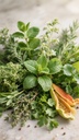 Herbs