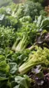 Leafy Greens